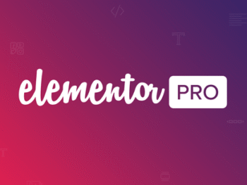 Elementor Pro - The Most Advanced Website Builder Plugin