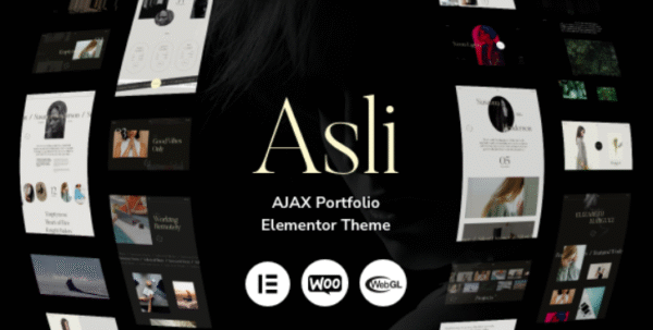 Asli v1.8.5 – AJAX Portfolio Elementor WordPress Theme
